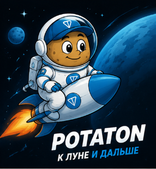 Potaton rocket